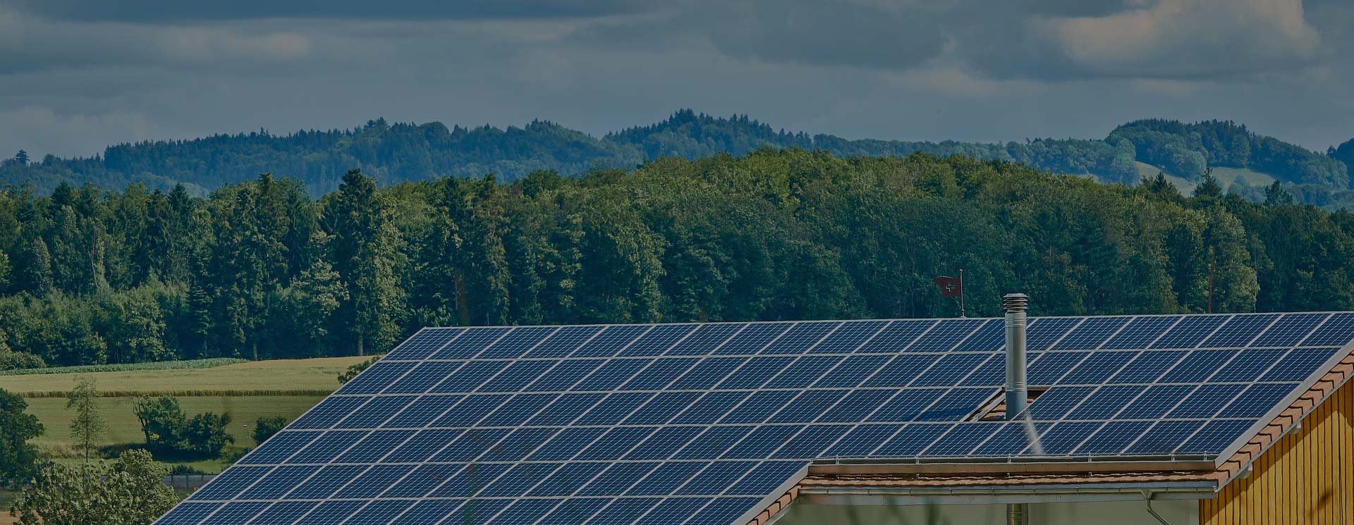 乱熟女高潮一区二区在线
